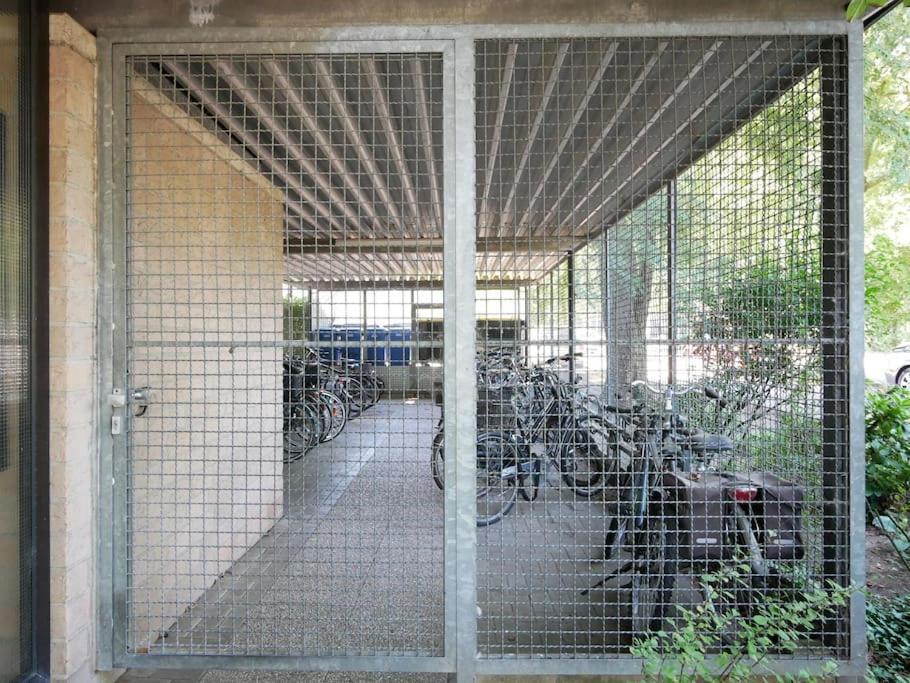 61 M2 Erdgeschosswohnung Mit Eigenem Parkplatz Vorm Haus Osnabrück Dış mekan fotoğraf
