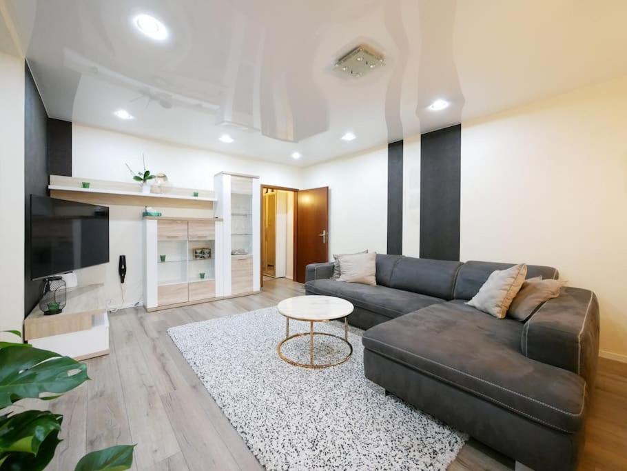 61 M2 Erdgeschosswohnung Mit Eigenem Parkplatz Vorm Haus Osnabrück Dış mekan fotoğraf